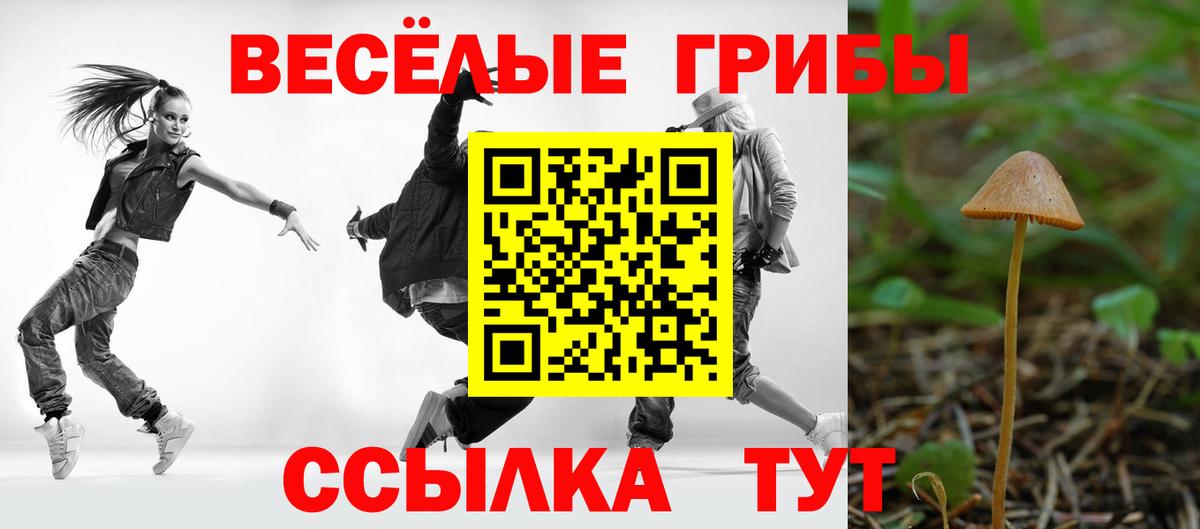 Галлюциногенные грибы Magic Shrooms  Вход с VPN  Чехов 