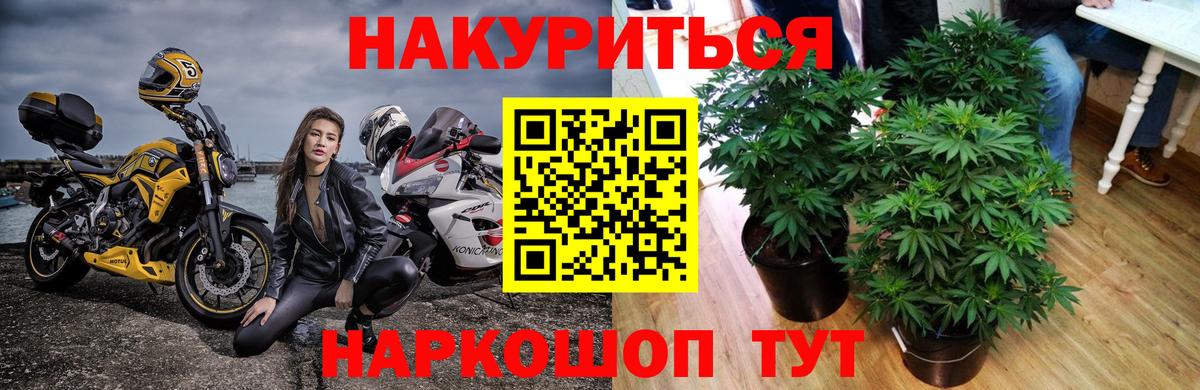 Марихуана THC 21%  Бошки Шишки тримм  Вход с VPN  Канабис семена  Чехов 